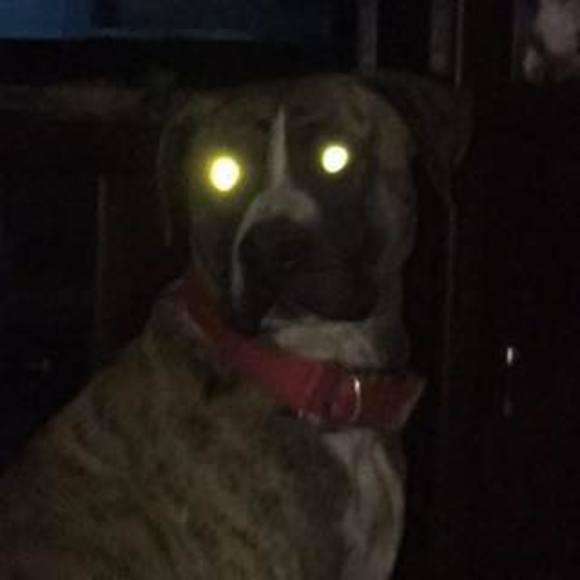 Meet your Posher, Jonathan - Picture 1 of 1